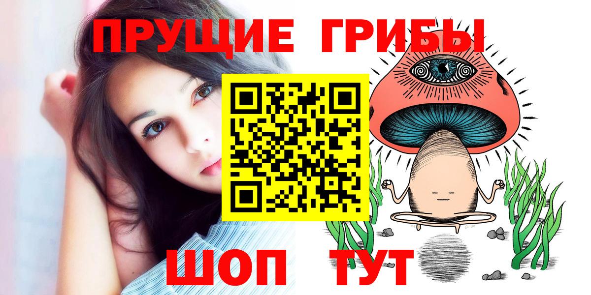 Галлюциногенные грибы Psilocybe Воскресенск