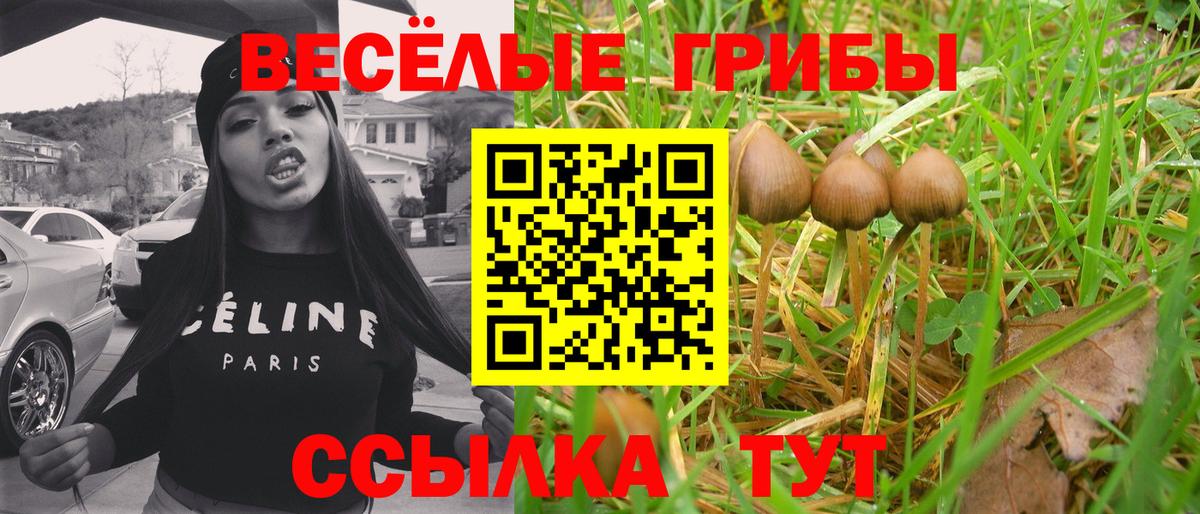Псилоцибиновые грибы мицелий  Вход с VPN  Воскресенск 